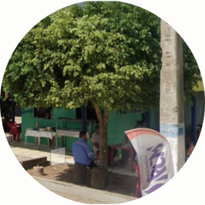QUIOSQUE VERDE